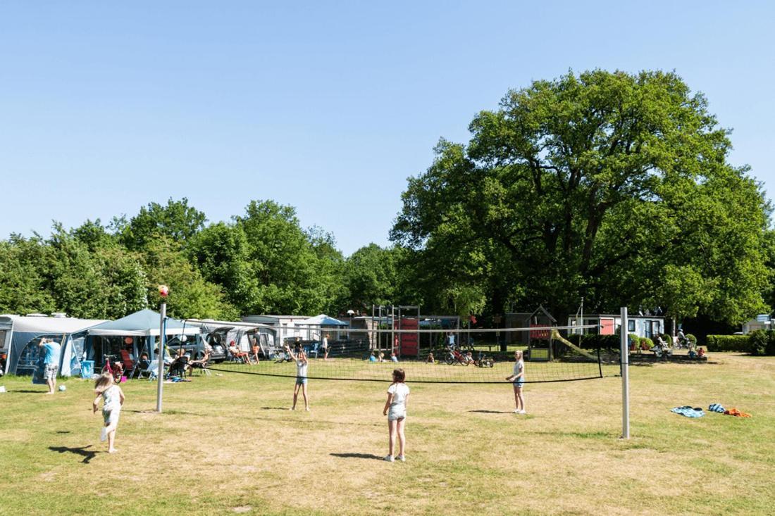 Chalet 'T Rijsterbos Op Camping Met Zwembad! Villa Dış mekan fotoğraf