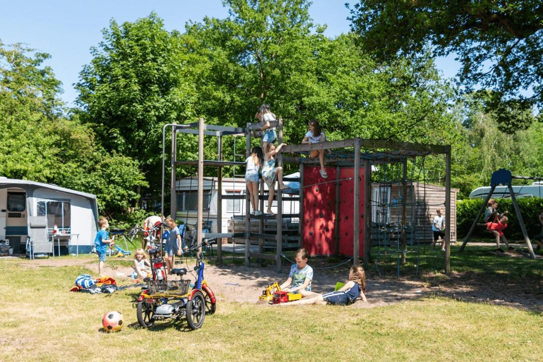 Chalet 'T Rijsterbos Op Camping Met Zwembad! Villa Dış mekan fotoğraf