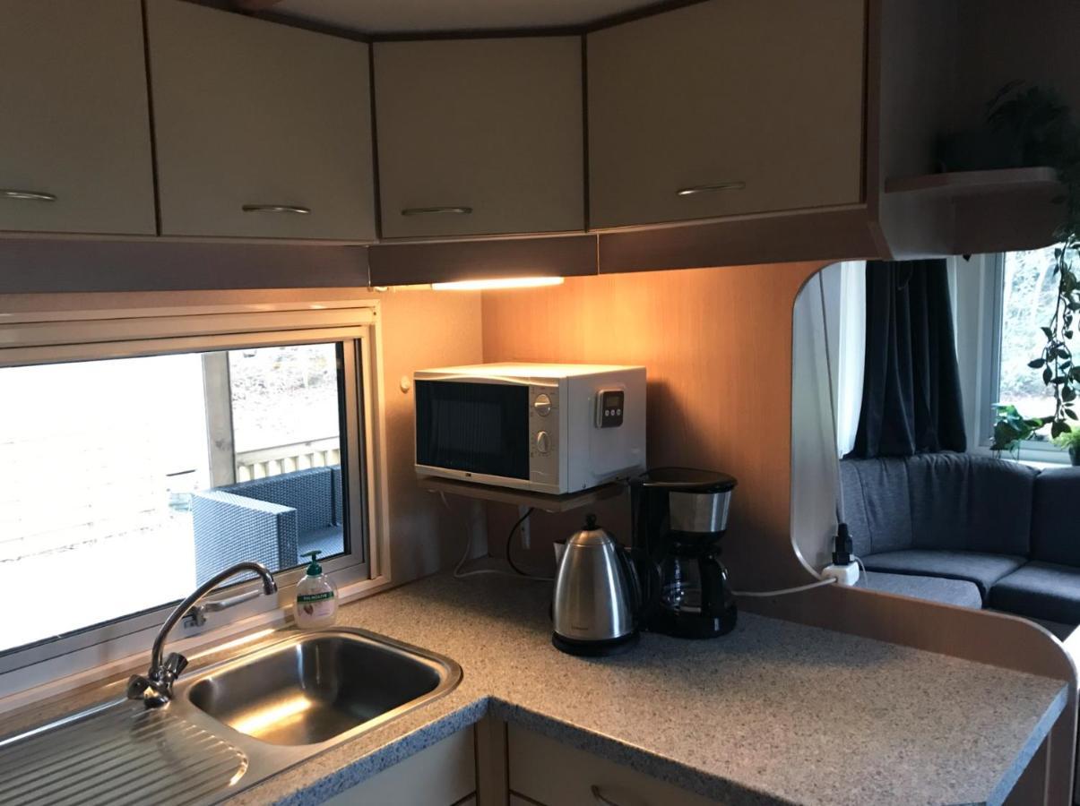 Chalet 'T Rijsterbos Op Camping Met Zwembad! Villa Dış mekan fotoğraf